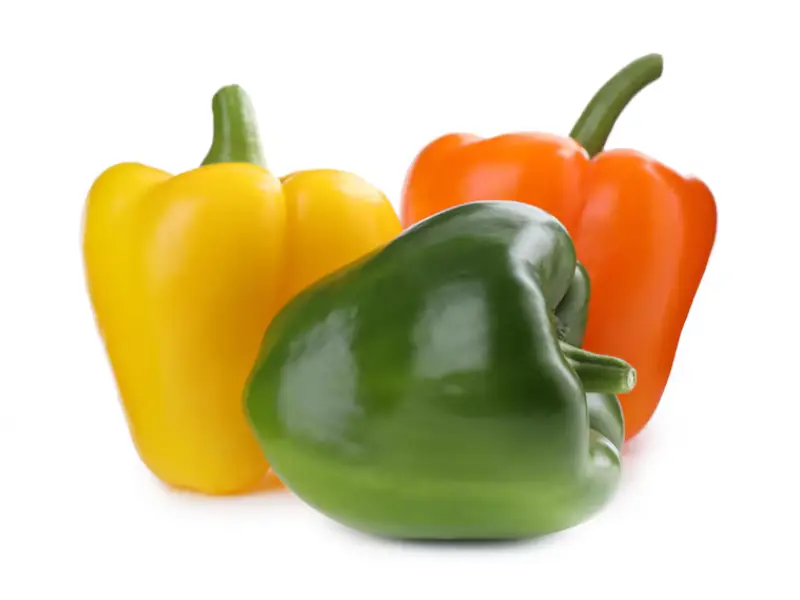 Pimentões Coloridos em Cultivo Protegido