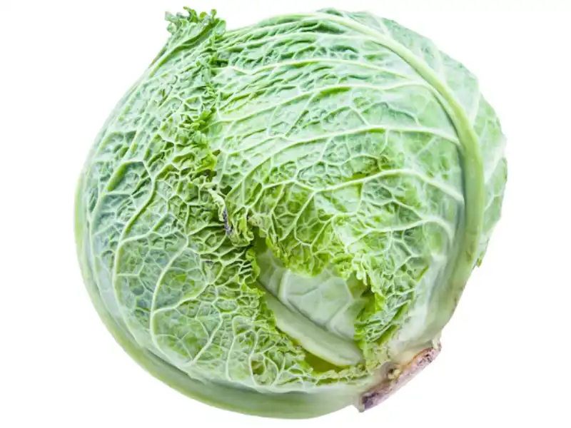 Cabeça de Repolho